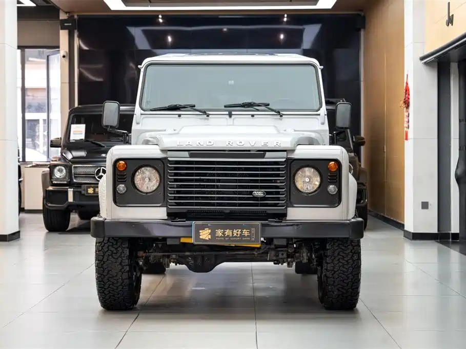 Land Rover Defender 2010 Ice·Fire Limited Edition фото 2
