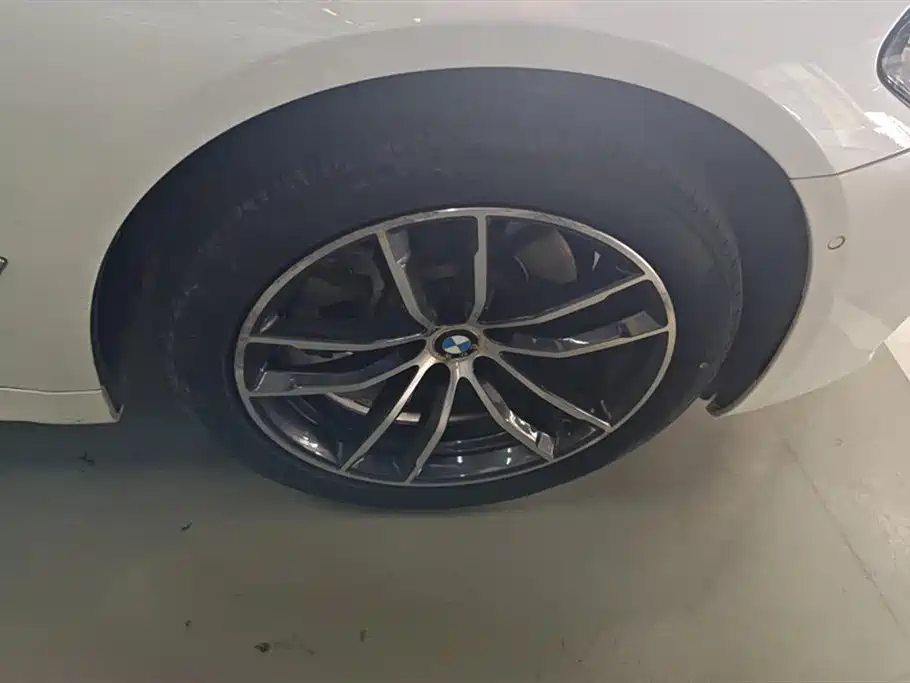 BMW 5 Series 2021 525Li M Sport Package фото 6