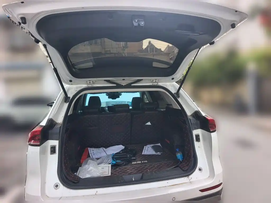 Фото 15 - Haval H6