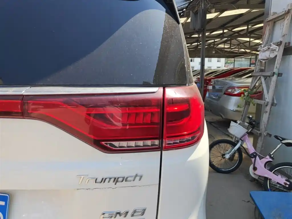 GAC Trumpchi Trumpchi M8 2020 Pilot 390T Prestige Edition фото 8