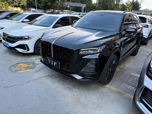  Hongqi Hongqi HS5 2025 2.0T 2WD Mystic Shadow Edition