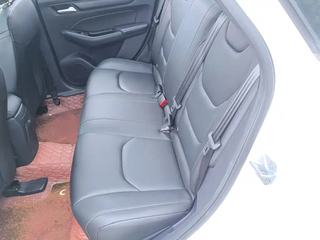 Ford Escort 2022 2021 1.5L Automatic Platinum Edition