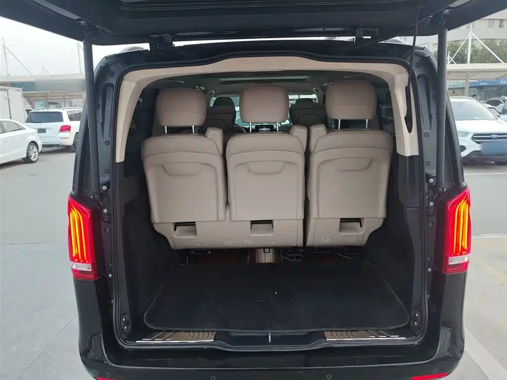 Mercedes-Benz V-Class 2018 V 260 Premium Edition China V фото 19
