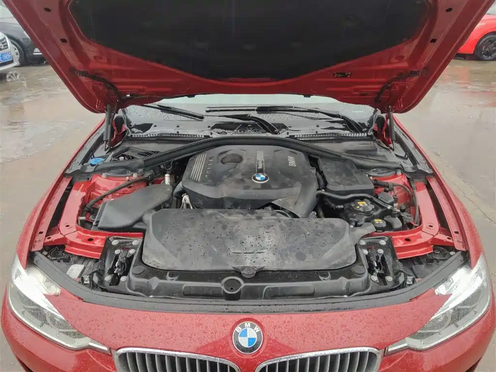 BMW 3 Series 2018 320Li Fashion Style фото 20