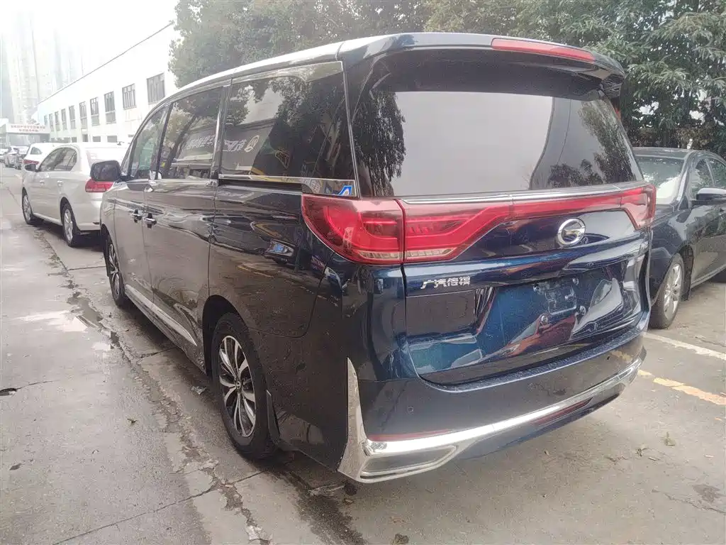 GAC Trumpchi Trumpchi M8 2023 Leading Series 390T Premium Edition фото 5