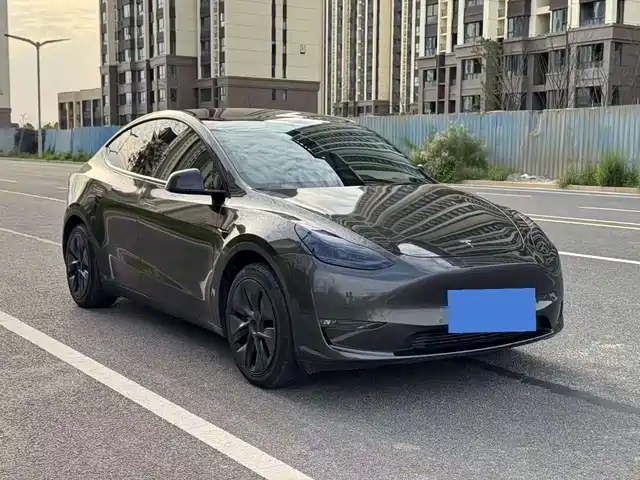 Tesla Model Y 2021 Standard Range Rear-Wheel Drive