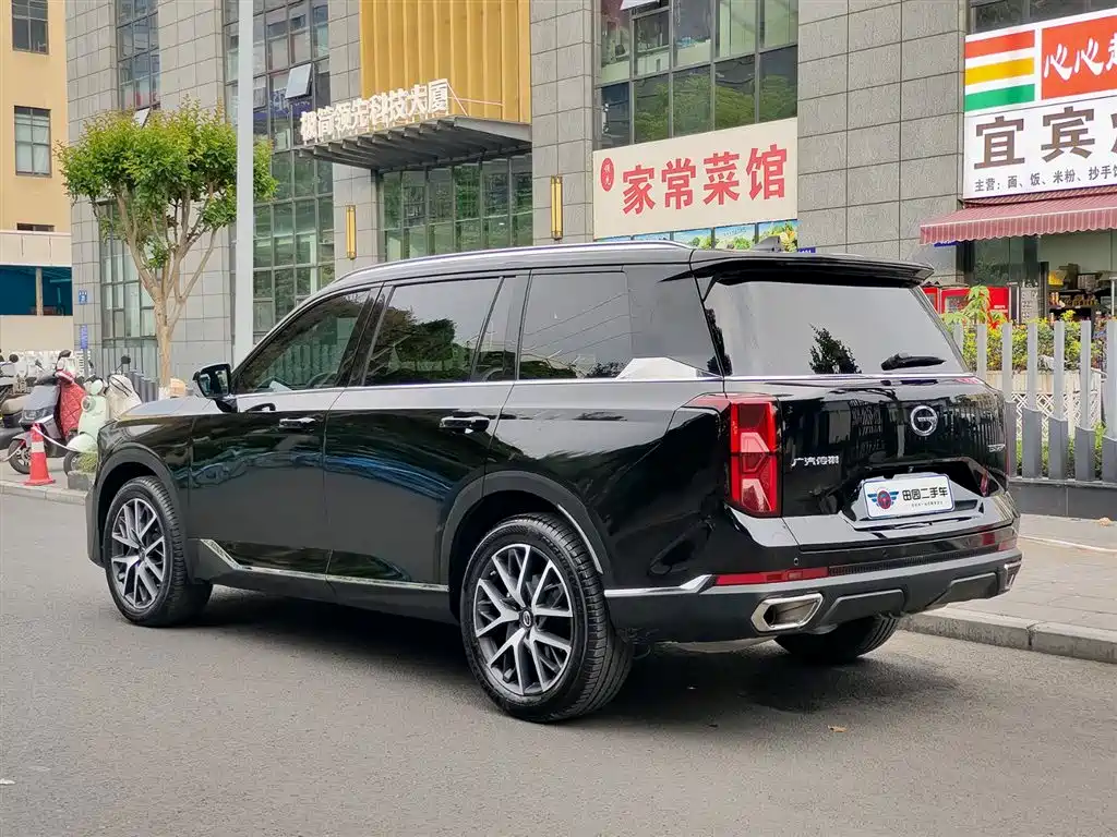 GAC Trumpchi Trumpchi GS8 2024 Navigator Series 2.0TGDI 4WD Luxury Smart Connect Edition фото 4