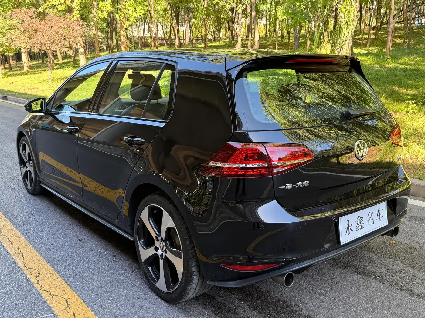 Volkswagen Golf GTI 2016 2016 2.0TSI GTI