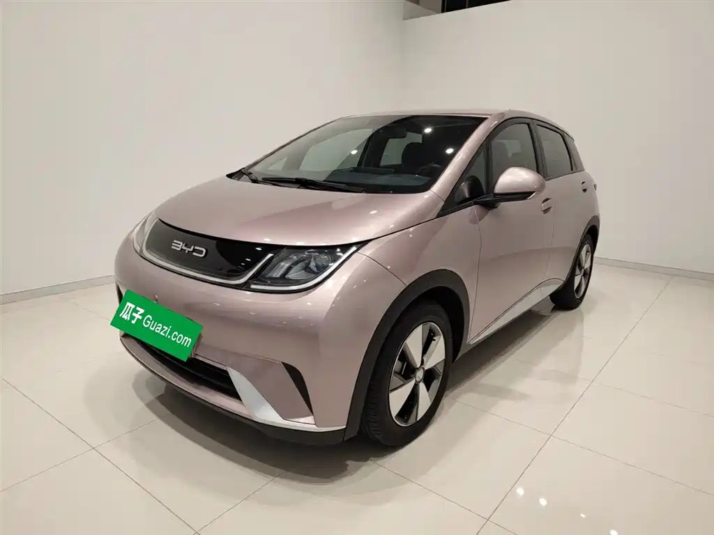 BYD Dolphin 2023 420km Freedom Edition