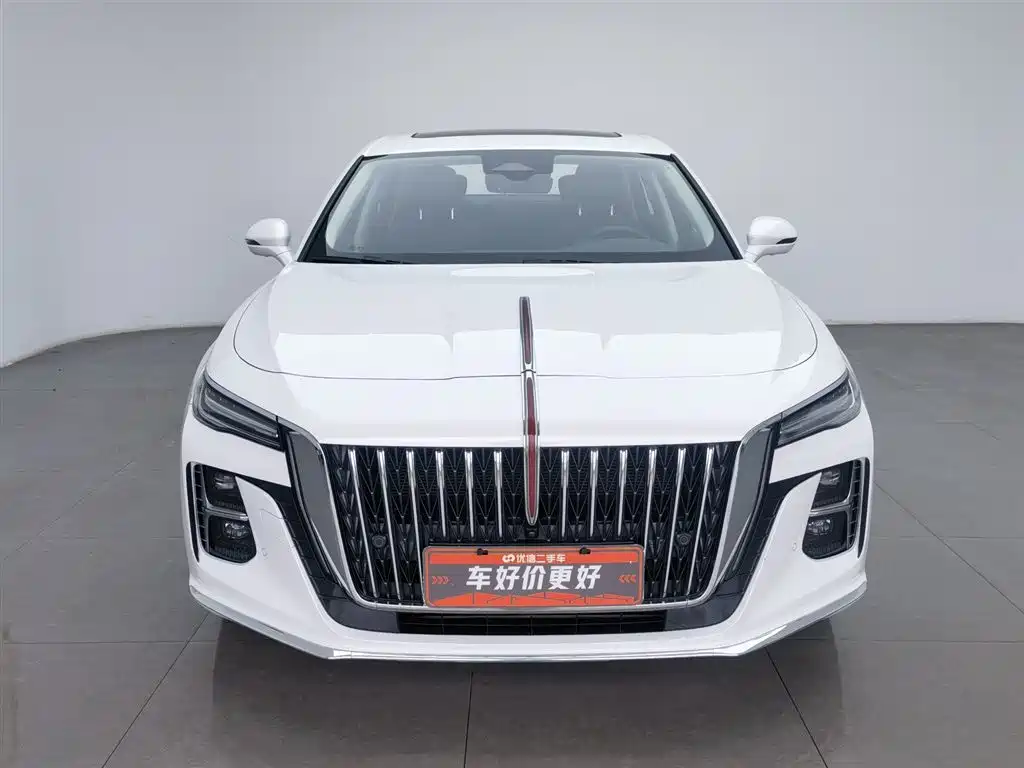Hongqi H5 2024 2.0T Automatic Smart Connect Flag Smooth Edition фото 3