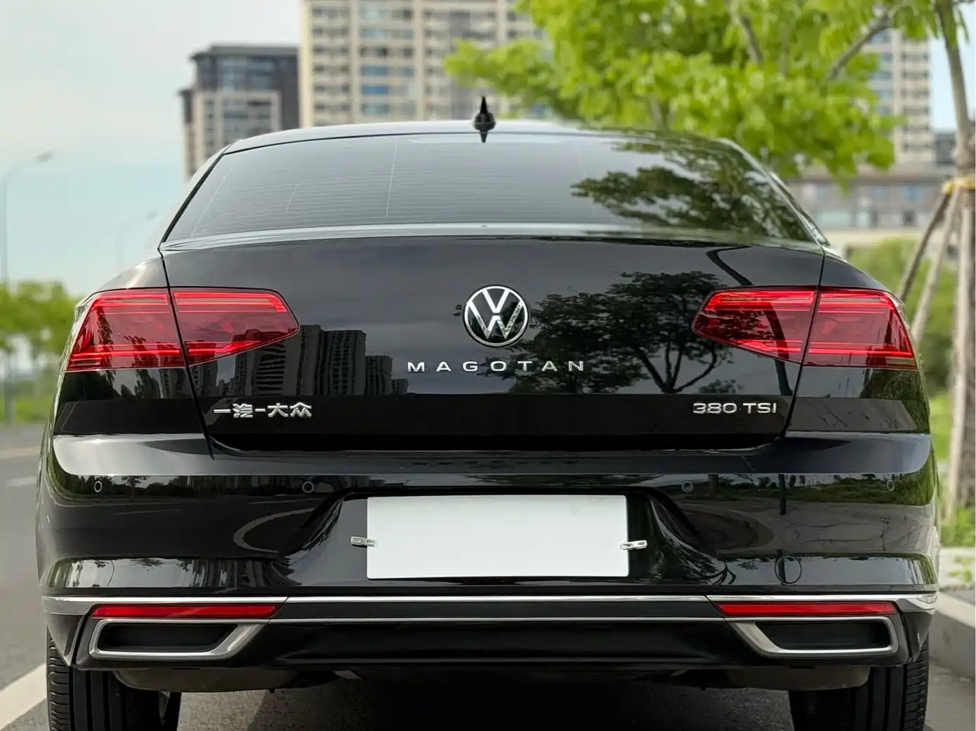 Volkswagen Magotan 2020 380TSI DSG Luxury фото 16