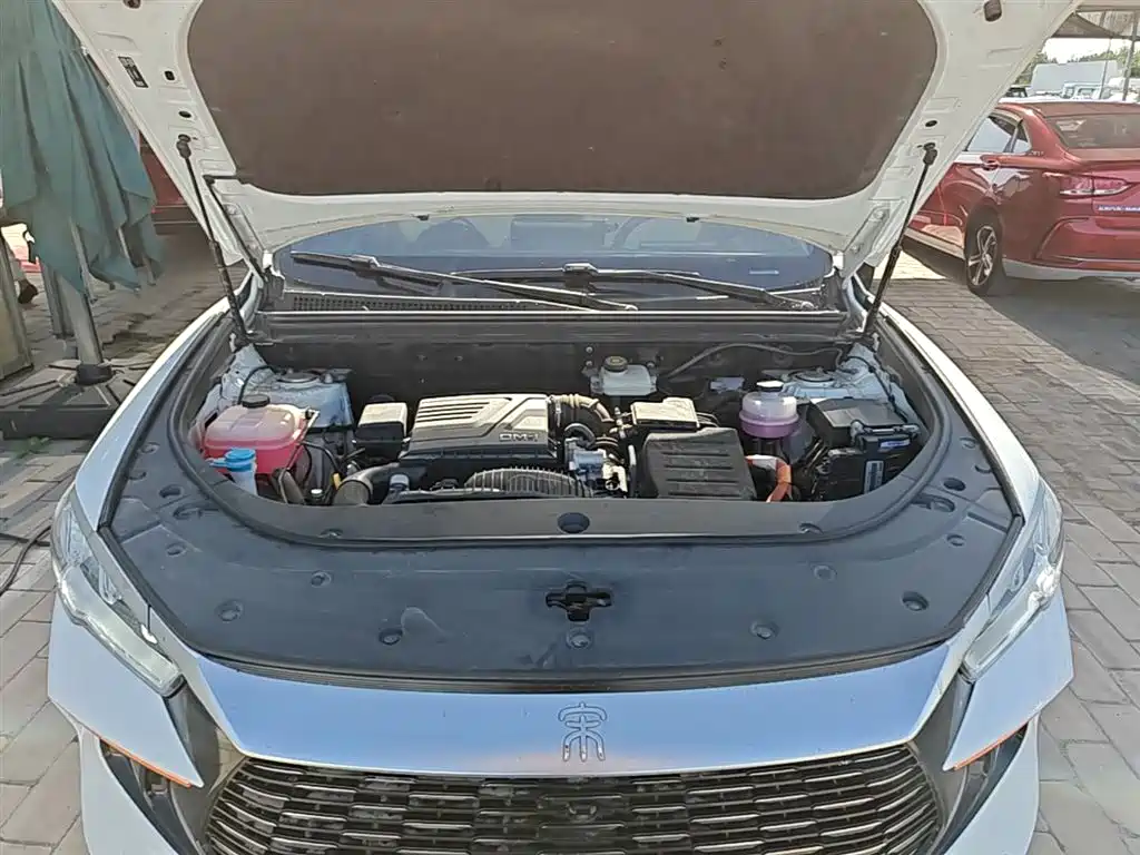 BYD Song Pro New Energy 2024 Glory Edition DM-i 71KM Pilot фото 20