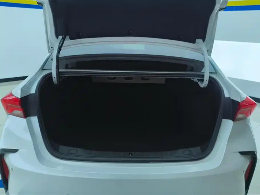 Buick Verano 2023 Pro GS Wind Hunter Edition фото 4