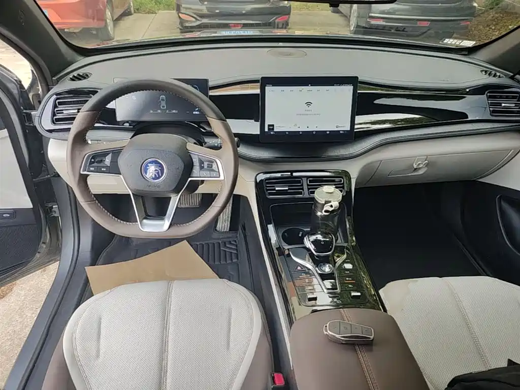BYD Qin PLUS 2024 Glory Edition DM-i 55KM Leading фото 10