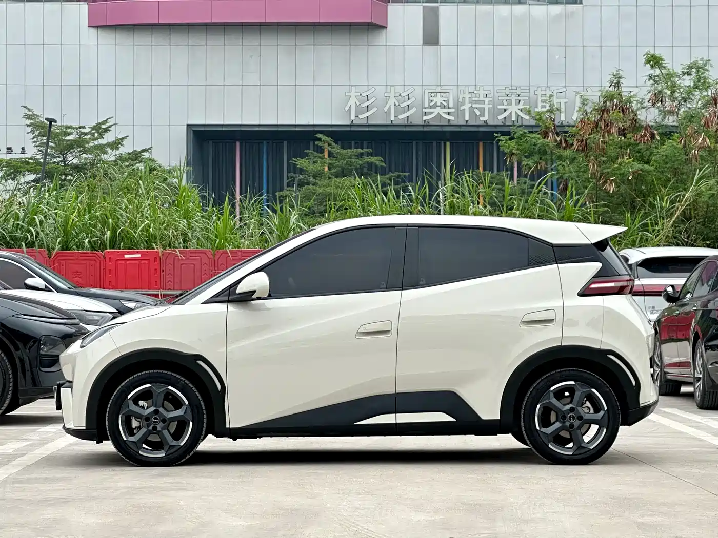 BYD Seagull 2024 Glory Edition 305km Freedom Edition фото 7