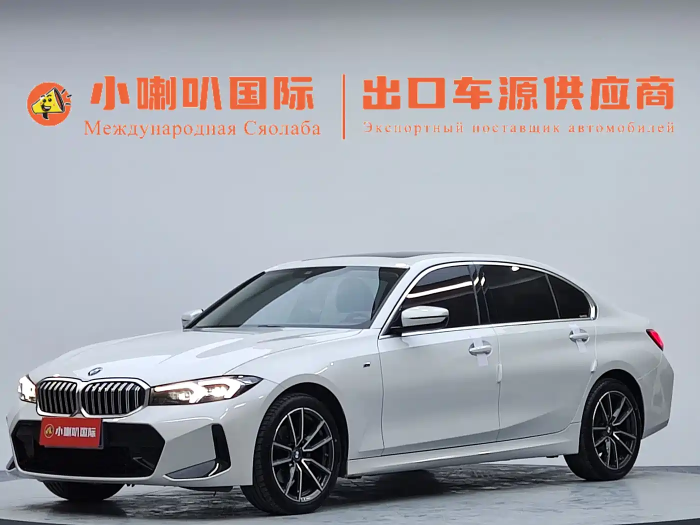 BMW 3 Series 2023 320Li M Sport Package