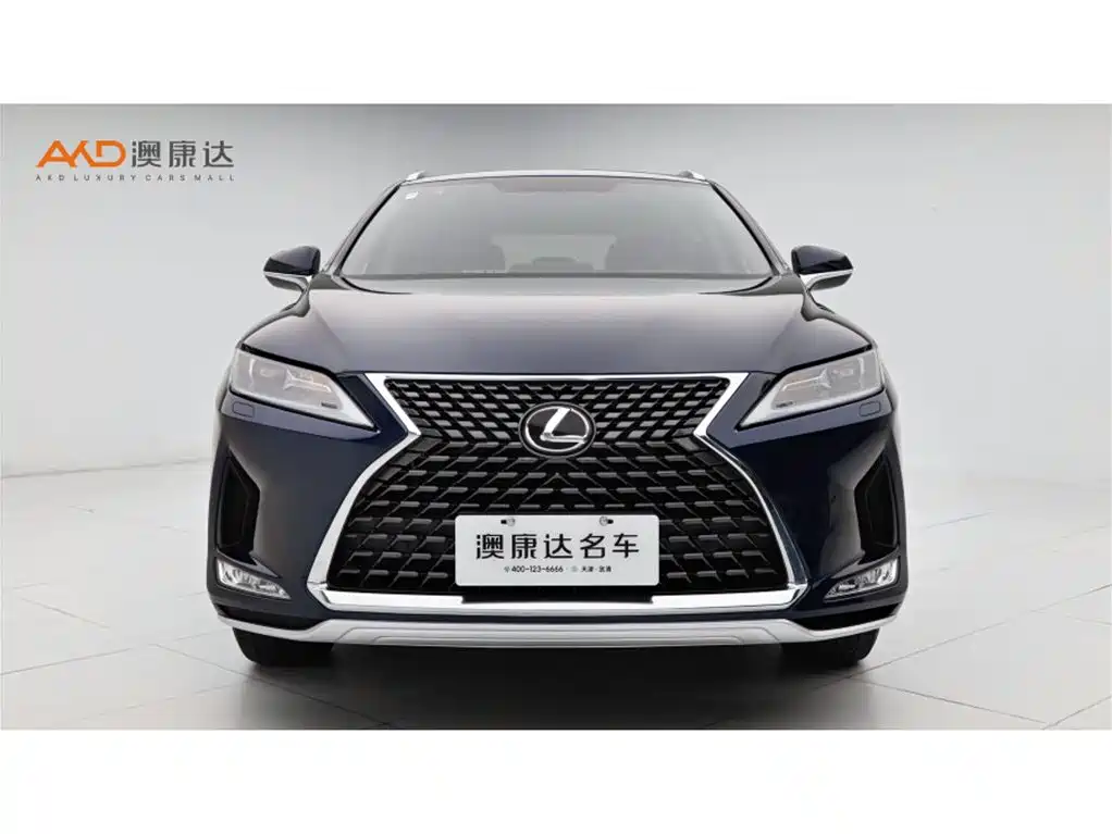 Lexus RX 2020 Facelift 300 2WD Elite Edition фото 2