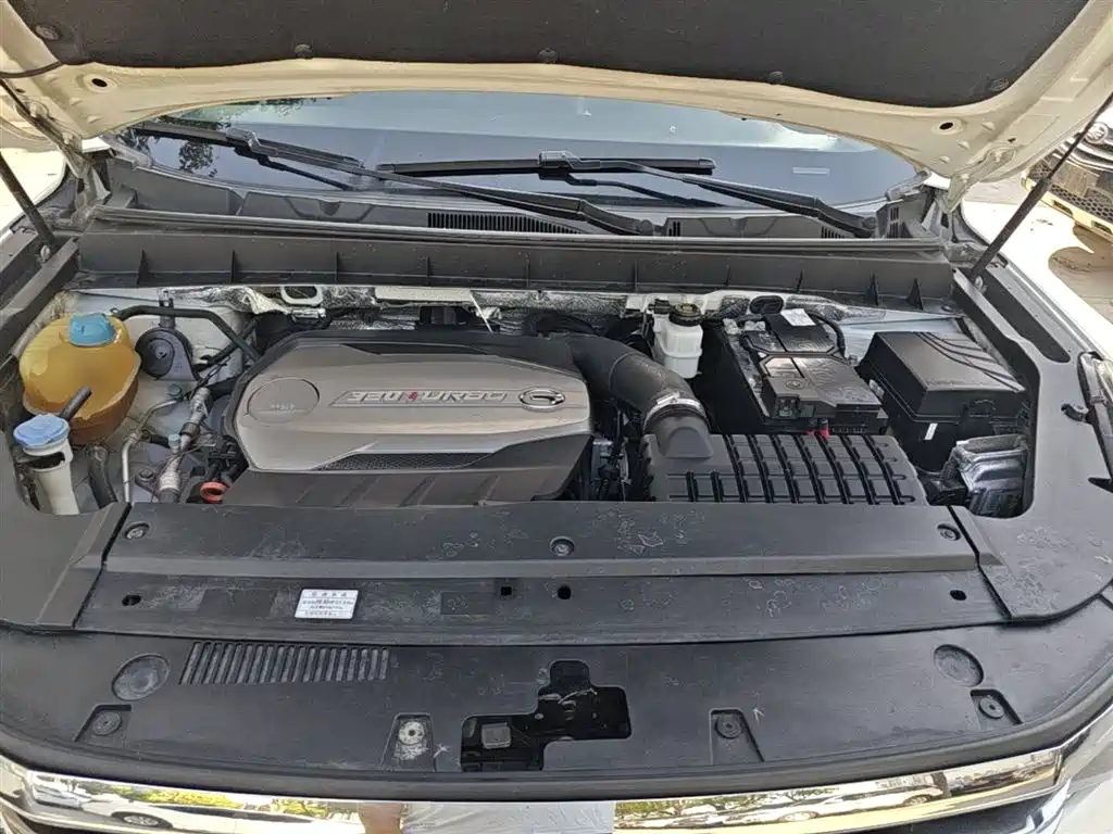 GAC Trumpchi Trumpchi GS8 2017 320T 2WD Luxury Smart Connect (7-seater) фото 20