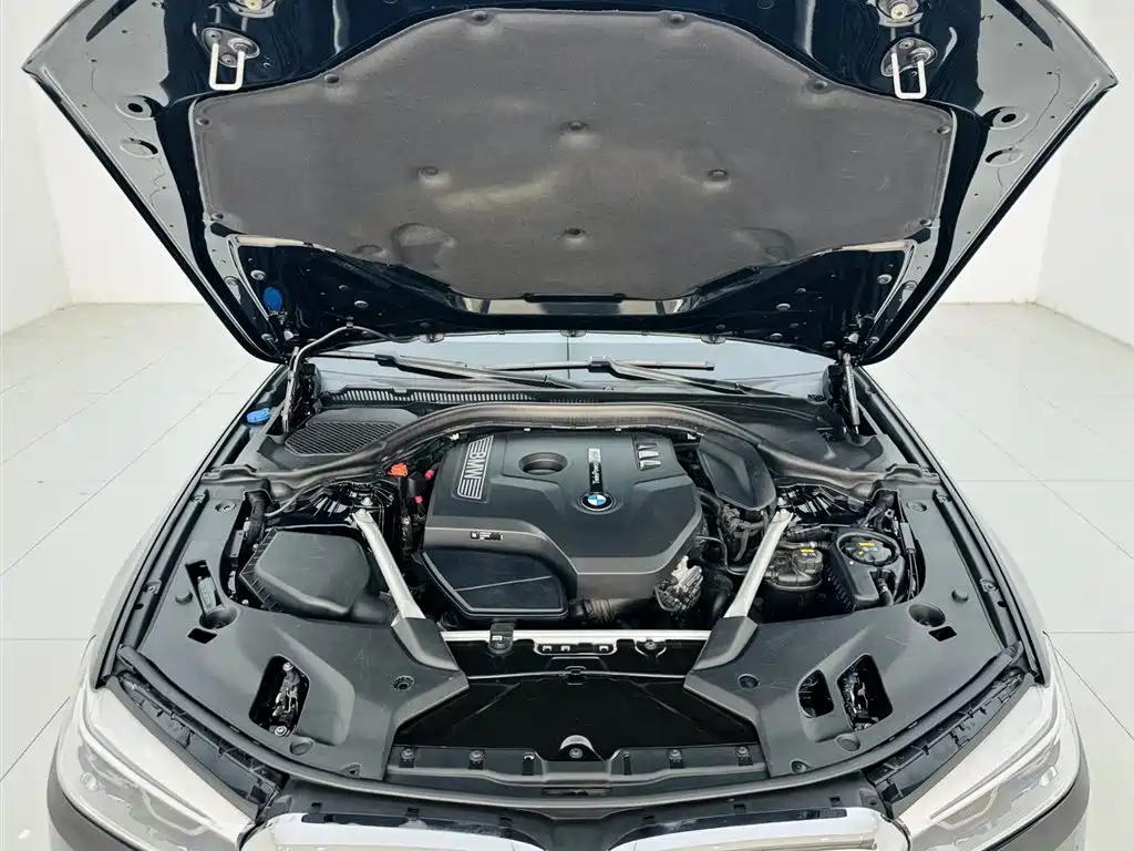 BMW 5 Series 2019 530Li Premium M Sport Package фото 29