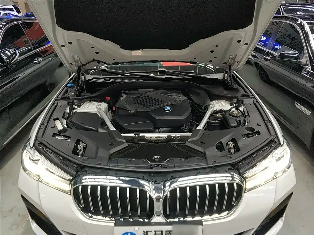 BMW 5 Series 2021 530Li Leading M Sport Package фото 10