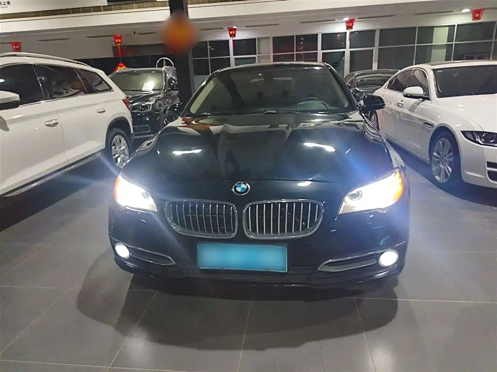 BMW 5 Series 2014 525Li Luxury Design Package фото 3