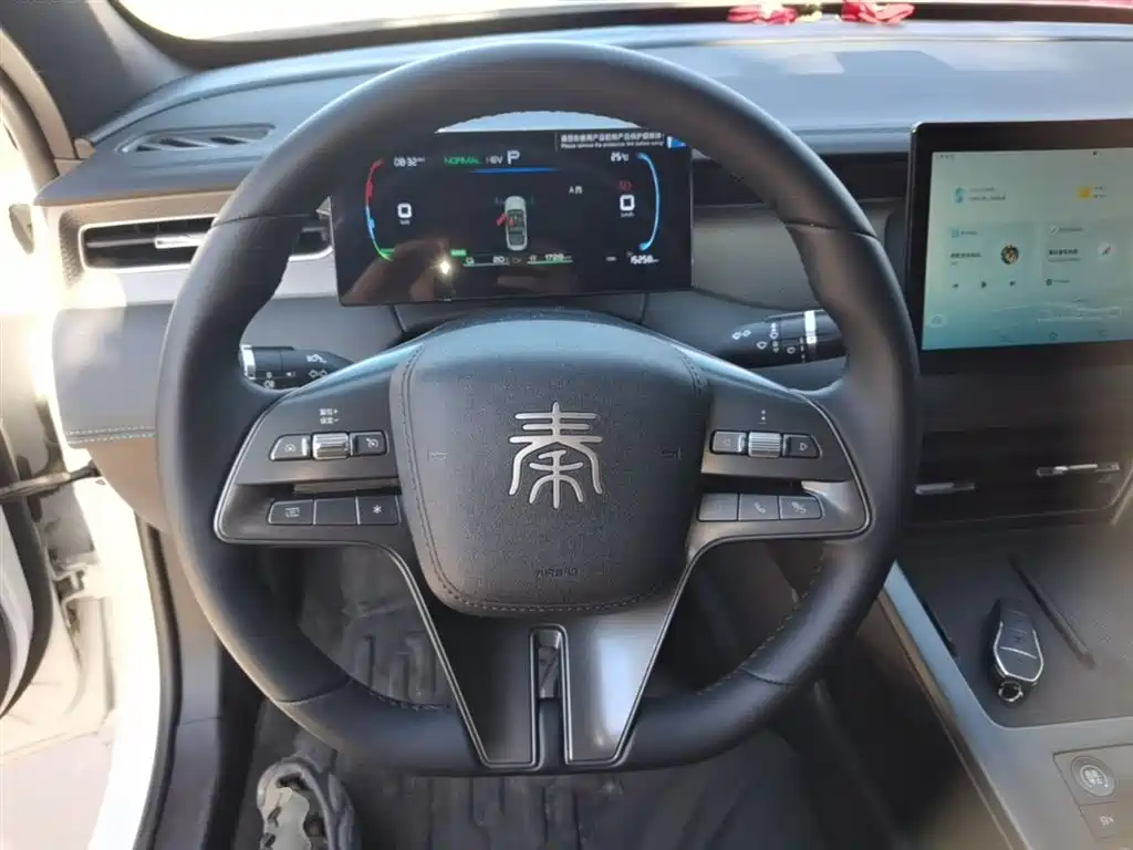 BYD Qin PLUS 2025 DM-i Smart Drive 55KM Leader фото 11