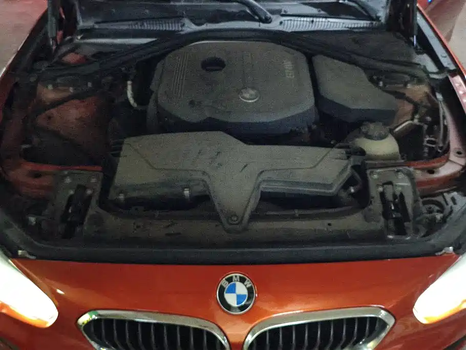 BMW 1 Series (Import) 2016 118i Leading фото 10