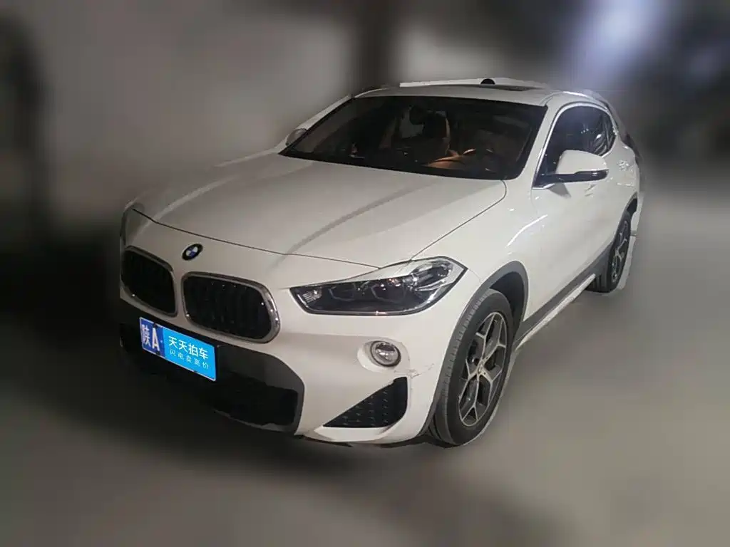 BMW X2 (Import) 2019 2019 sDrive20i M Off-Road Package China VI