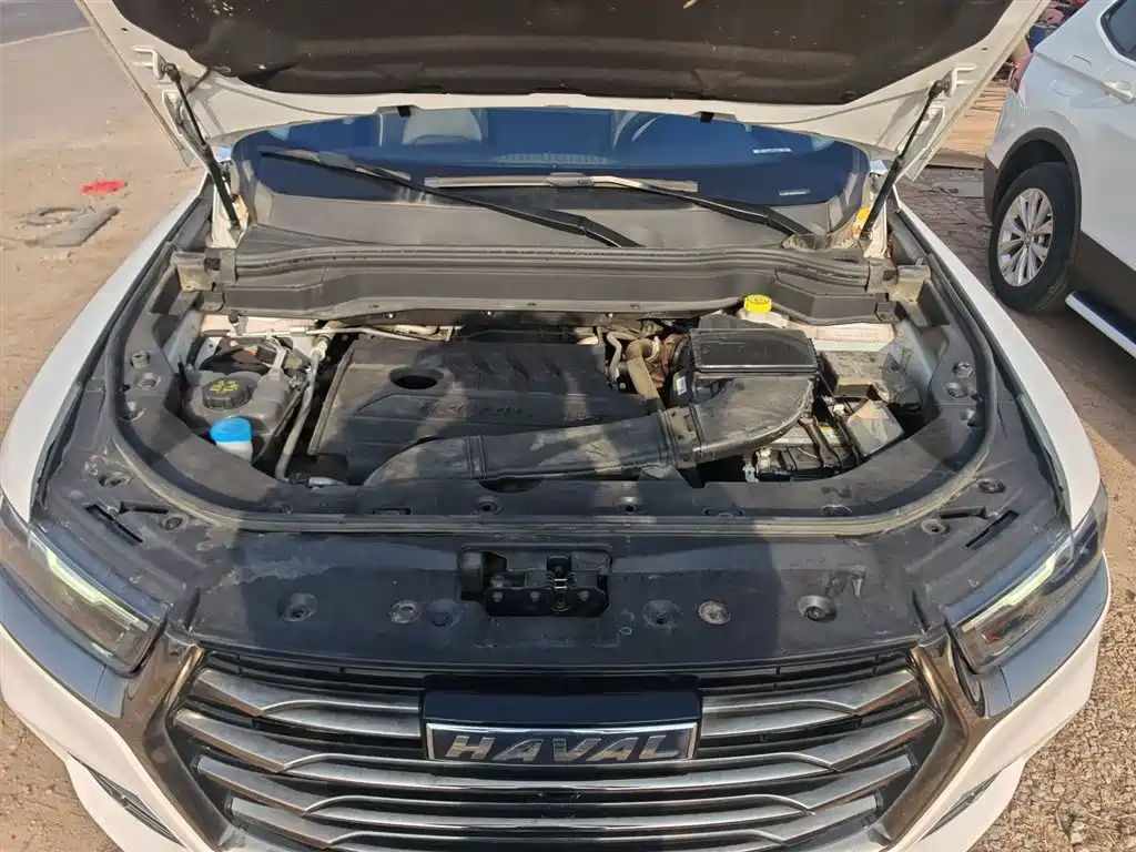 Haval H6 2021 National Trend Edition 1.5T Automatic Urban Edition фото 20
