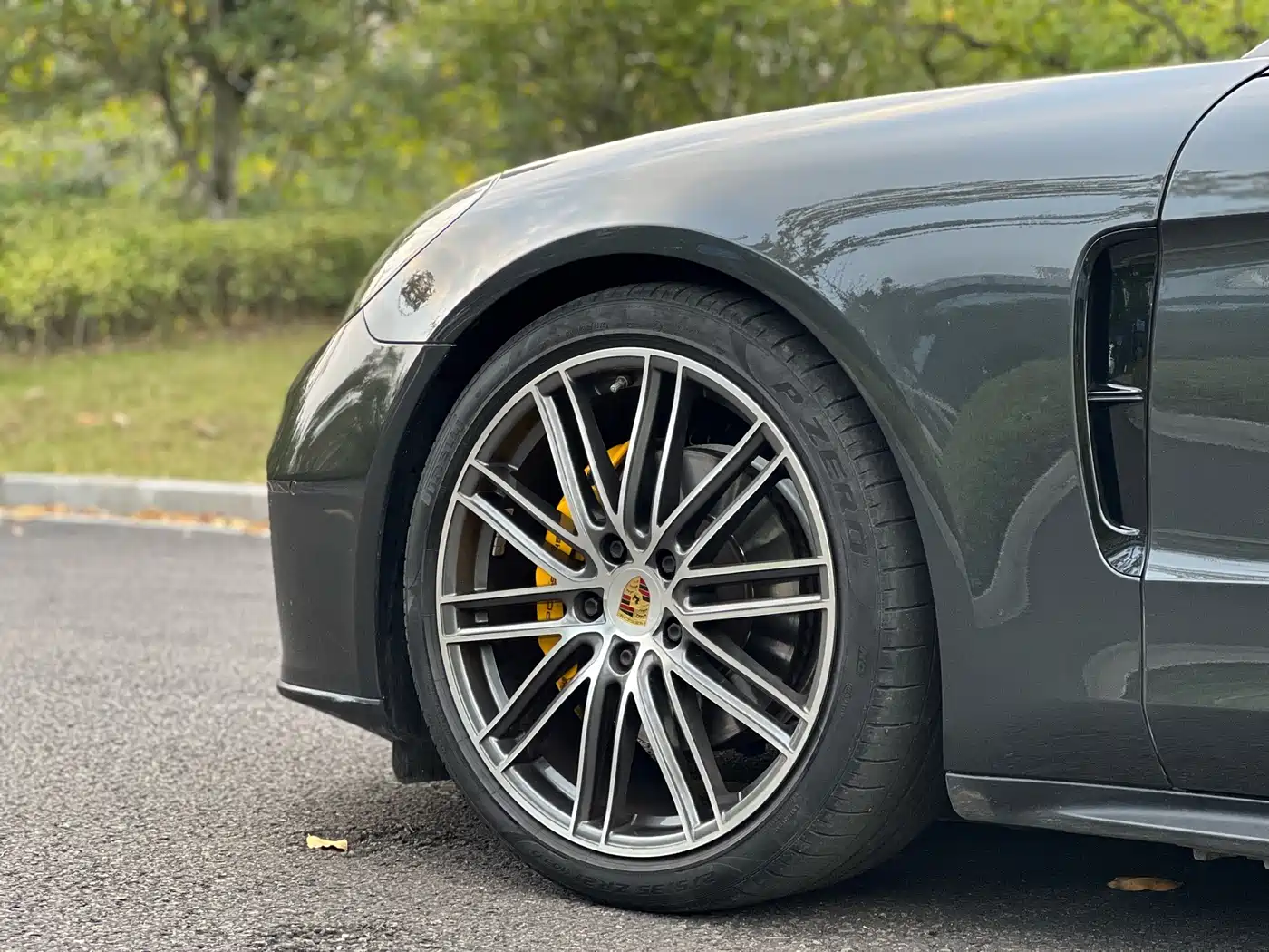 Porsche Panamera 2020 Panamera 10th Anniversary Edition 2.9T фото 12