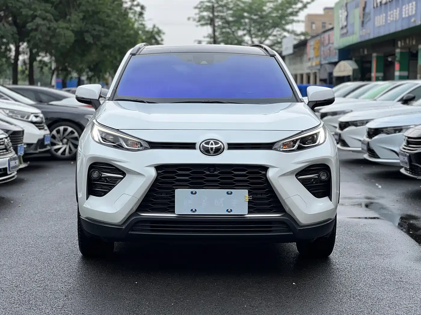TOYOTA WILANDA