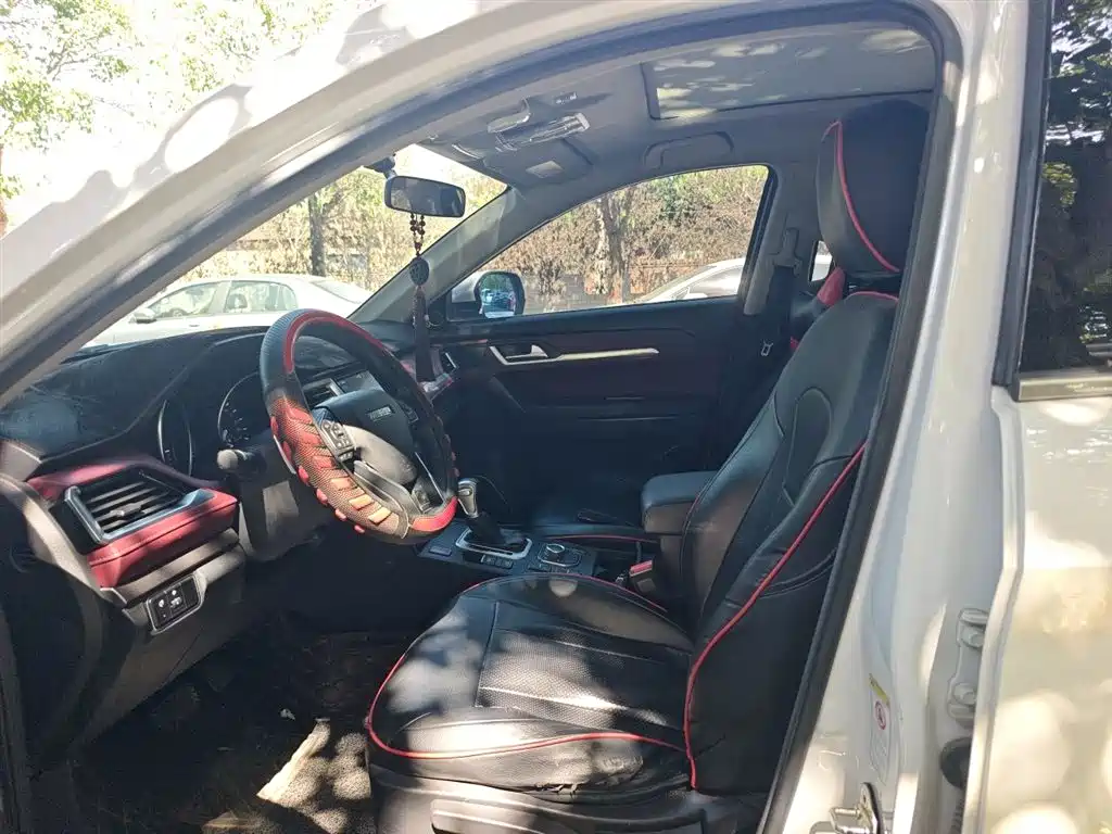 Haval H6 Coupe 2018 Red Label 1.5T Auto 2WD Luxury Edition фото 12