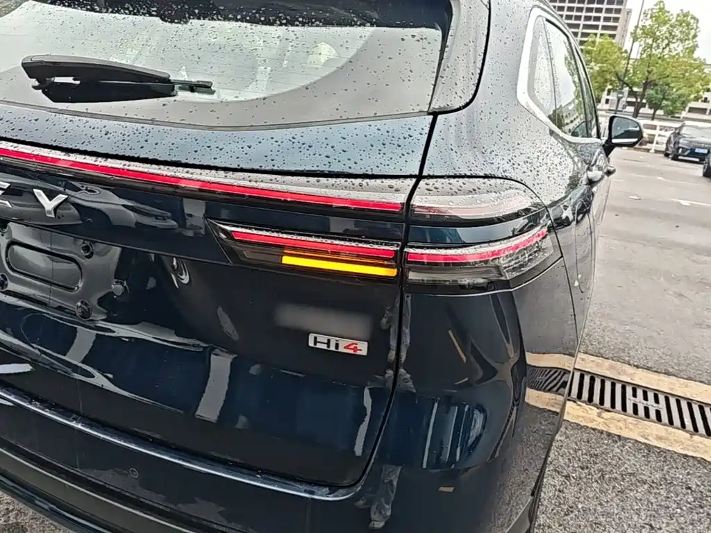 WEY Latte DHT-PHEV 2024 2022 1.5T 2WD Large Cup