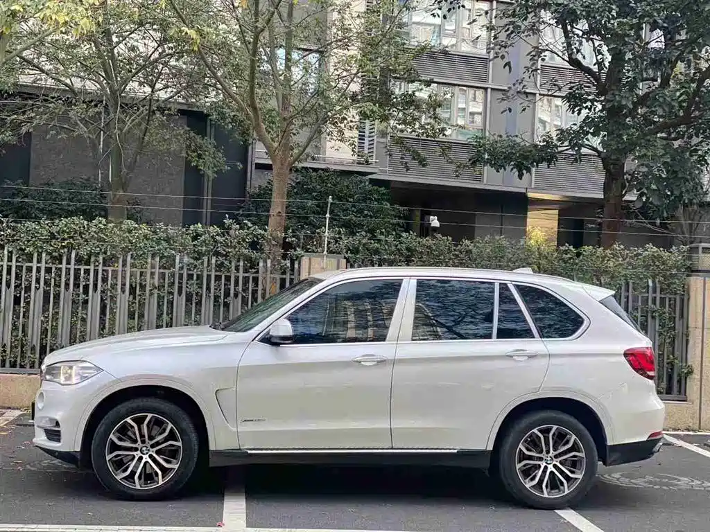 BMW X5 (Import) 2017 xDrive35i Elegance фото 2