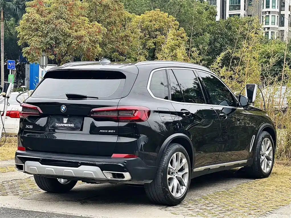 BMW X5 (Import) 2021 Facelift xDrive30i X Design Package фото 25