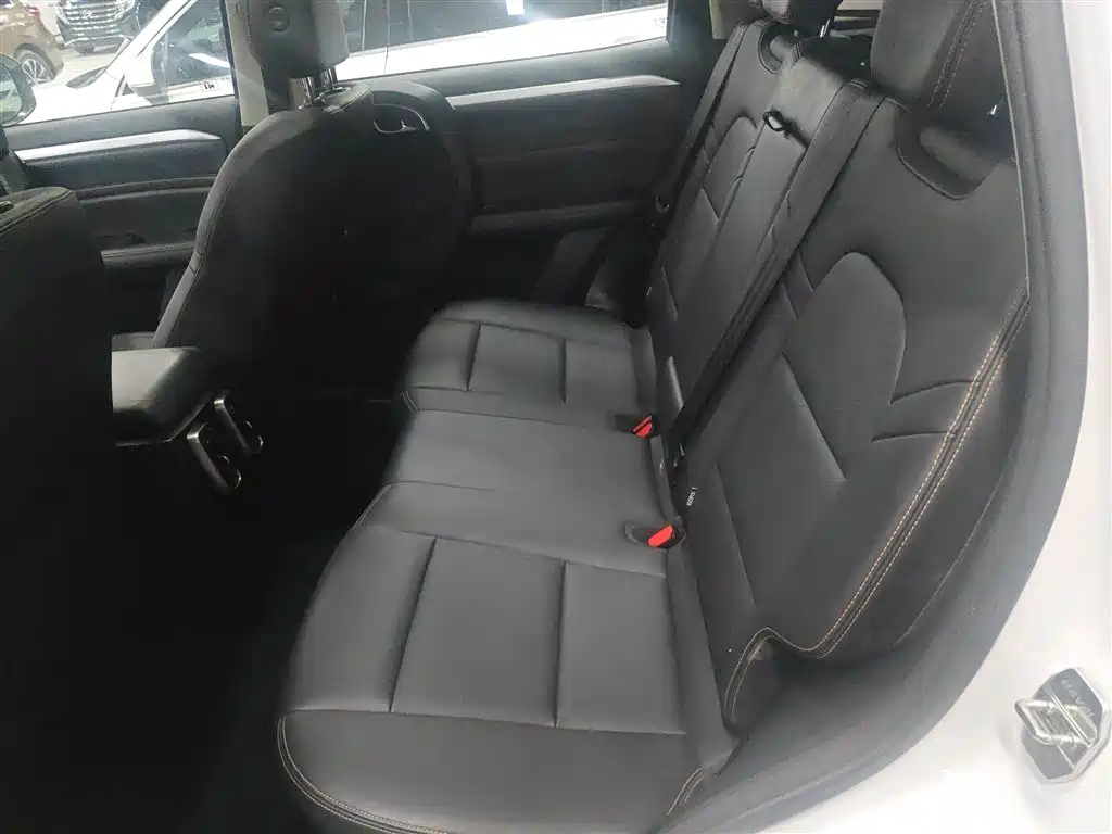 Haval Big Dog 2021 2.0T DCT 4WD Chinese Rural Dog Edition фото 14