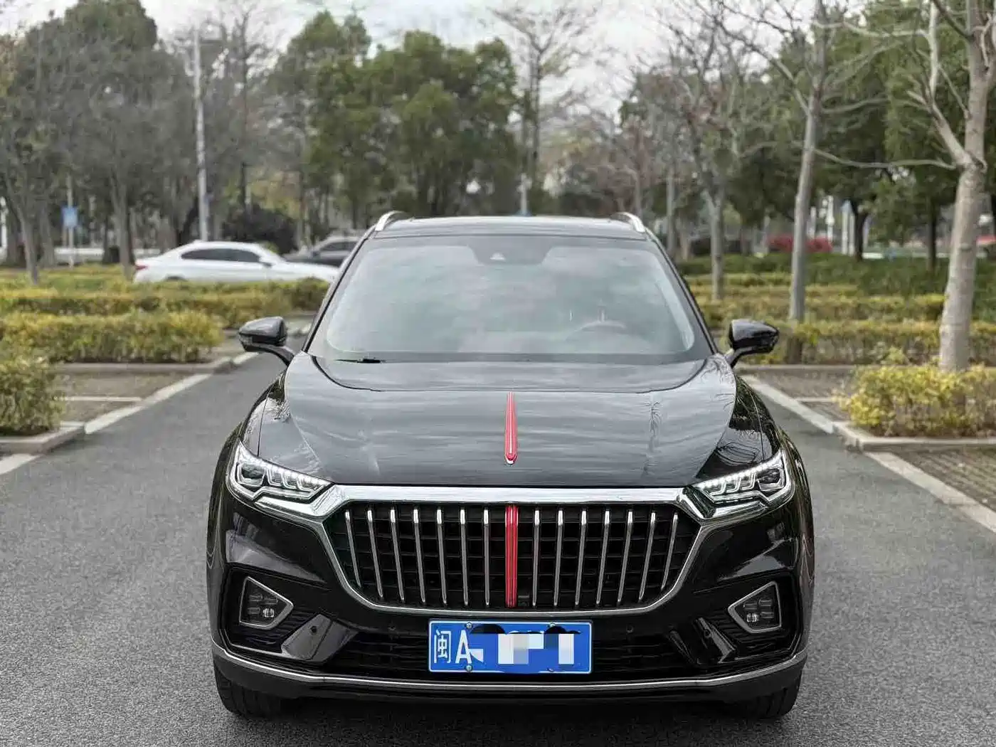 Hongqi HS5 2019 2.0T Smart Connect Enjoy Edition фото 2