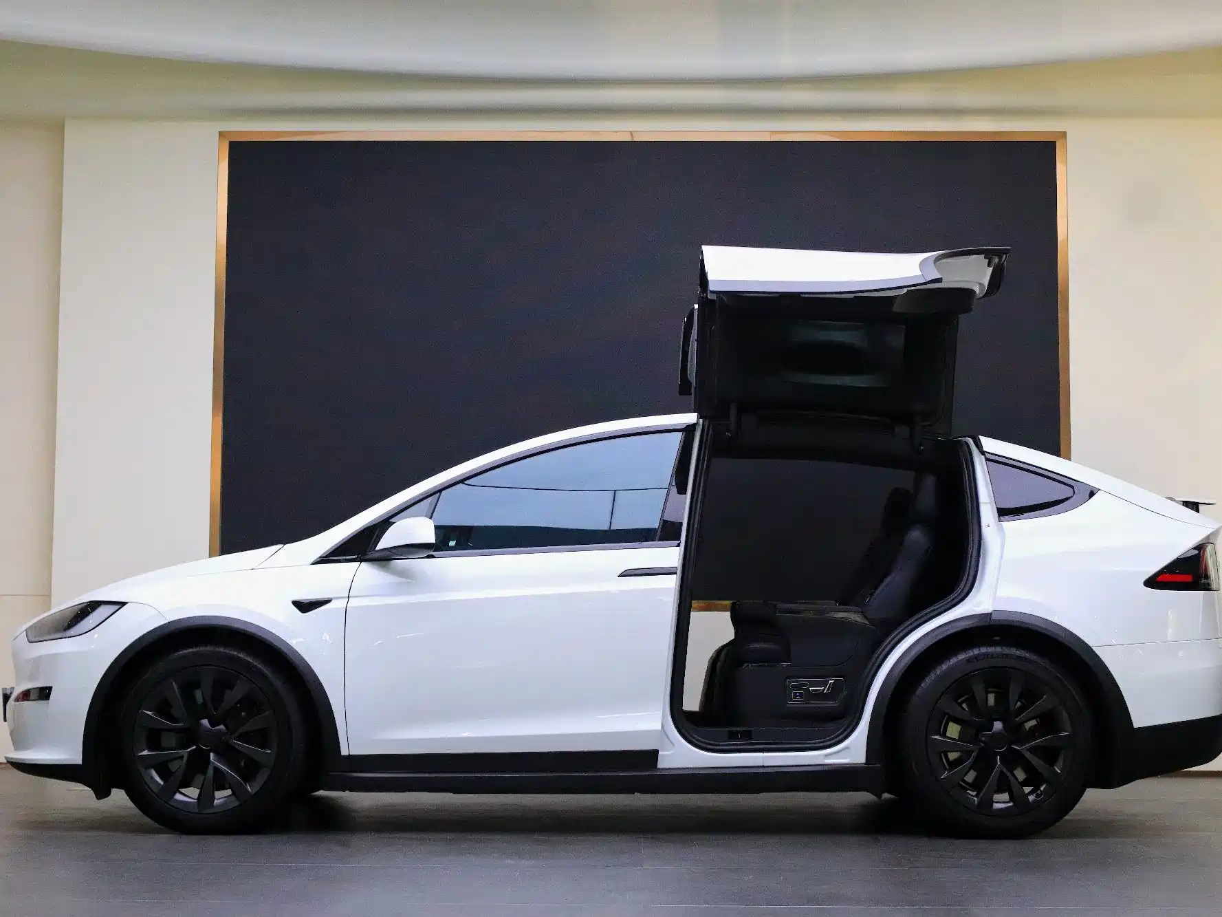 Фото 17 - Tesla Model X