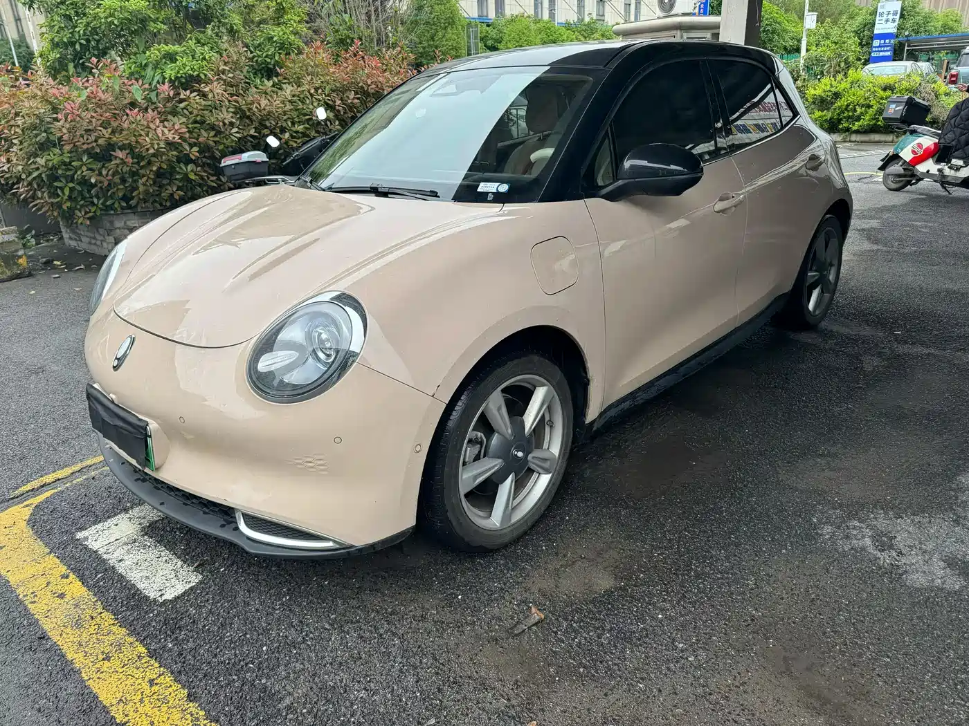 Ora Good Cat 2021 400km Standard Range Athena Edition (NCM)
