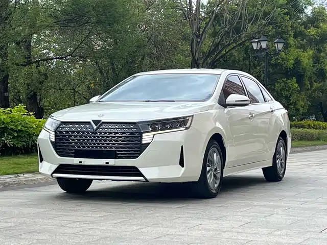  Venucia Venucia D60 2021 PLUS 1.6L XL CVT Joy Leader Edition