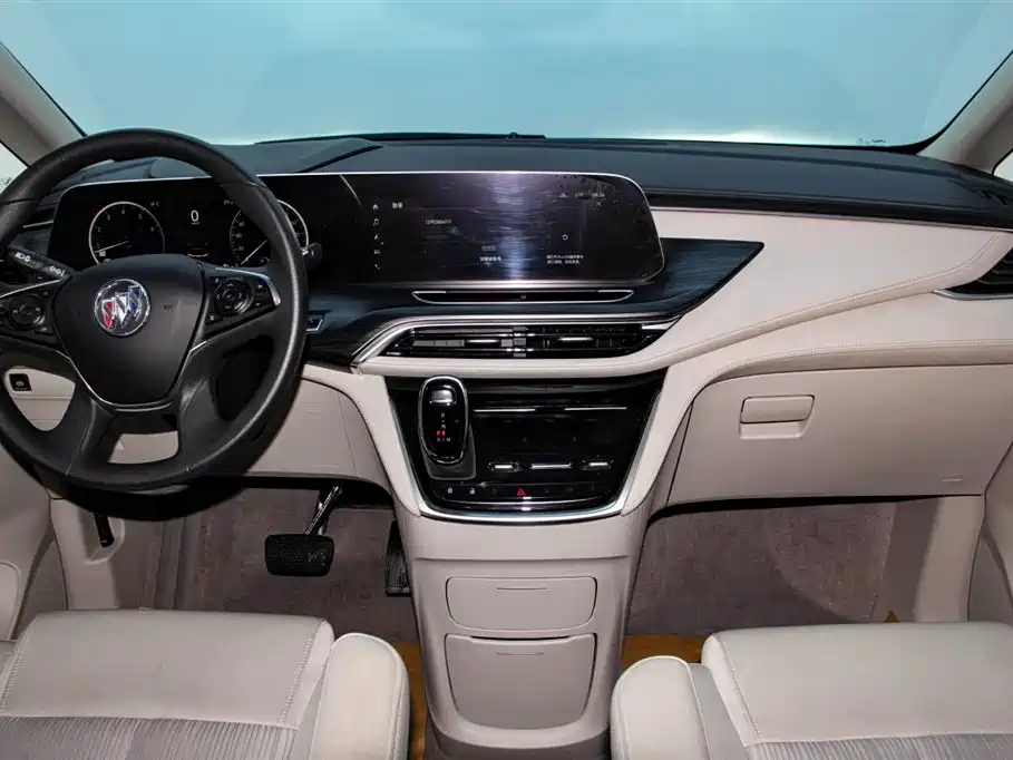 Buick GL8 2023 ES Landmaster Comfort фото 21
