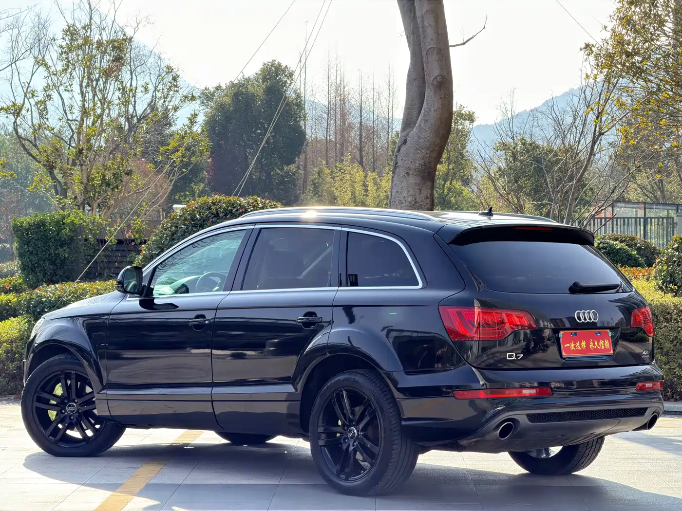 Audi Q7 2007 4.2 FSI quattro Luxury фото 19