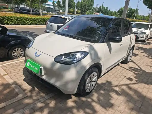 Wuling Motors Wuling Bingo 2023 Model 203km Lite Enjoyment Edition