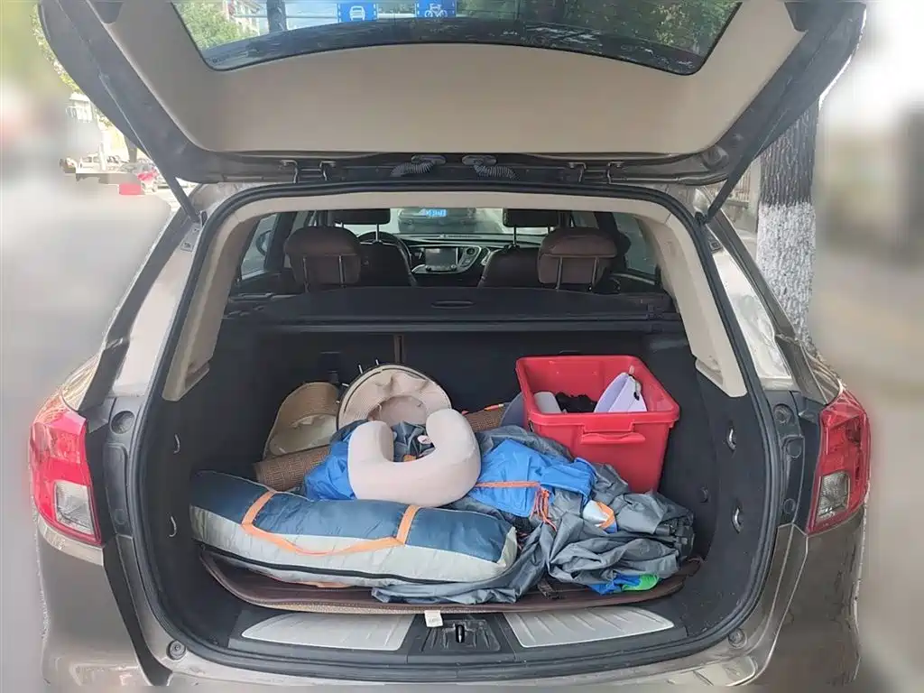 Buick Envision Plus 2016 20T 2WD Elite фото 10