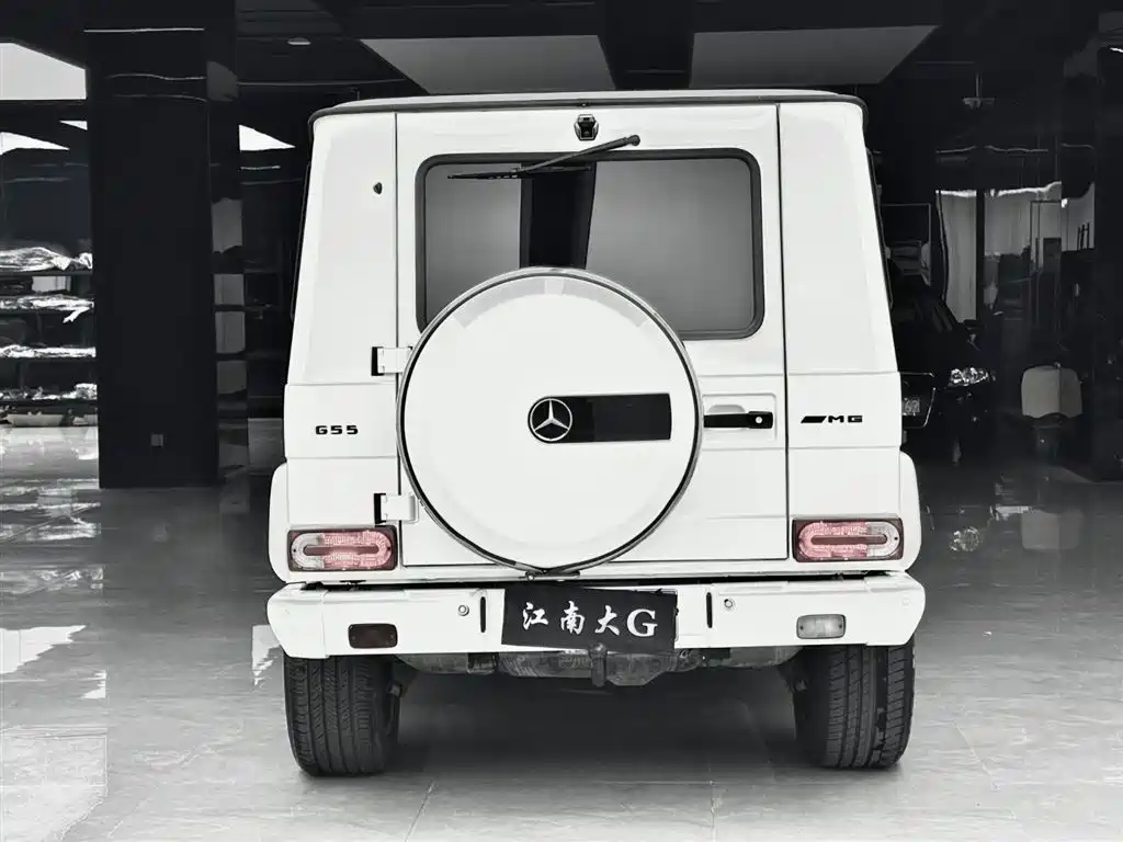 Mercedes-Benz G-Class AMG 2009 AMG G 55 фото 18
