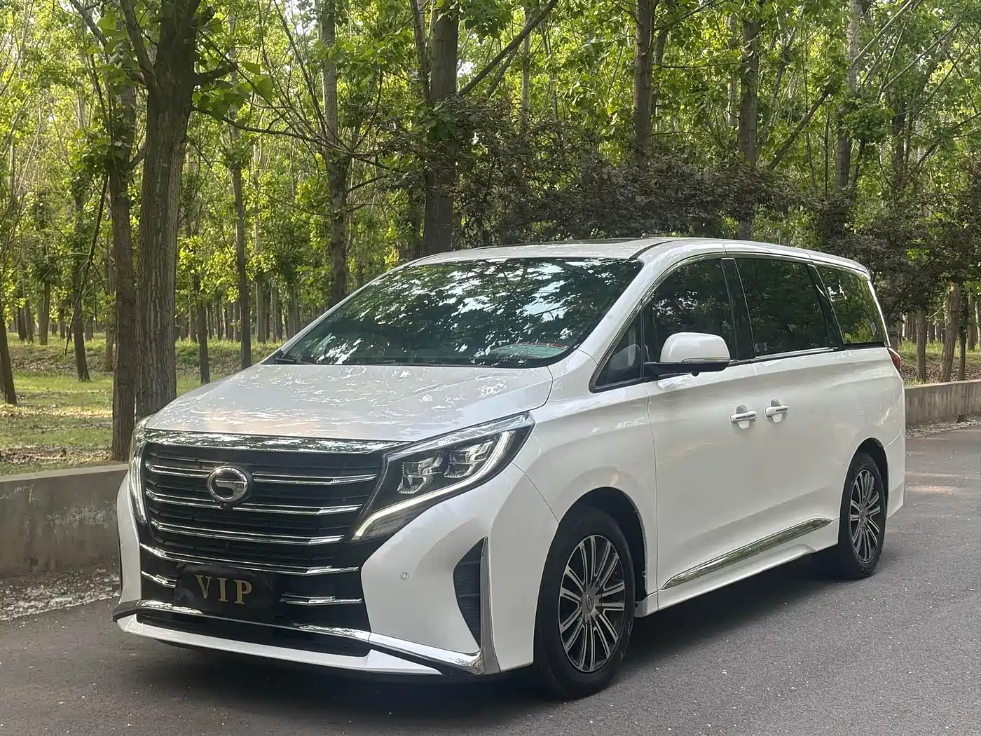 GAC Trumpchi Trumpchi M8 2021 Leading Show Series 390T Ultimate Edition