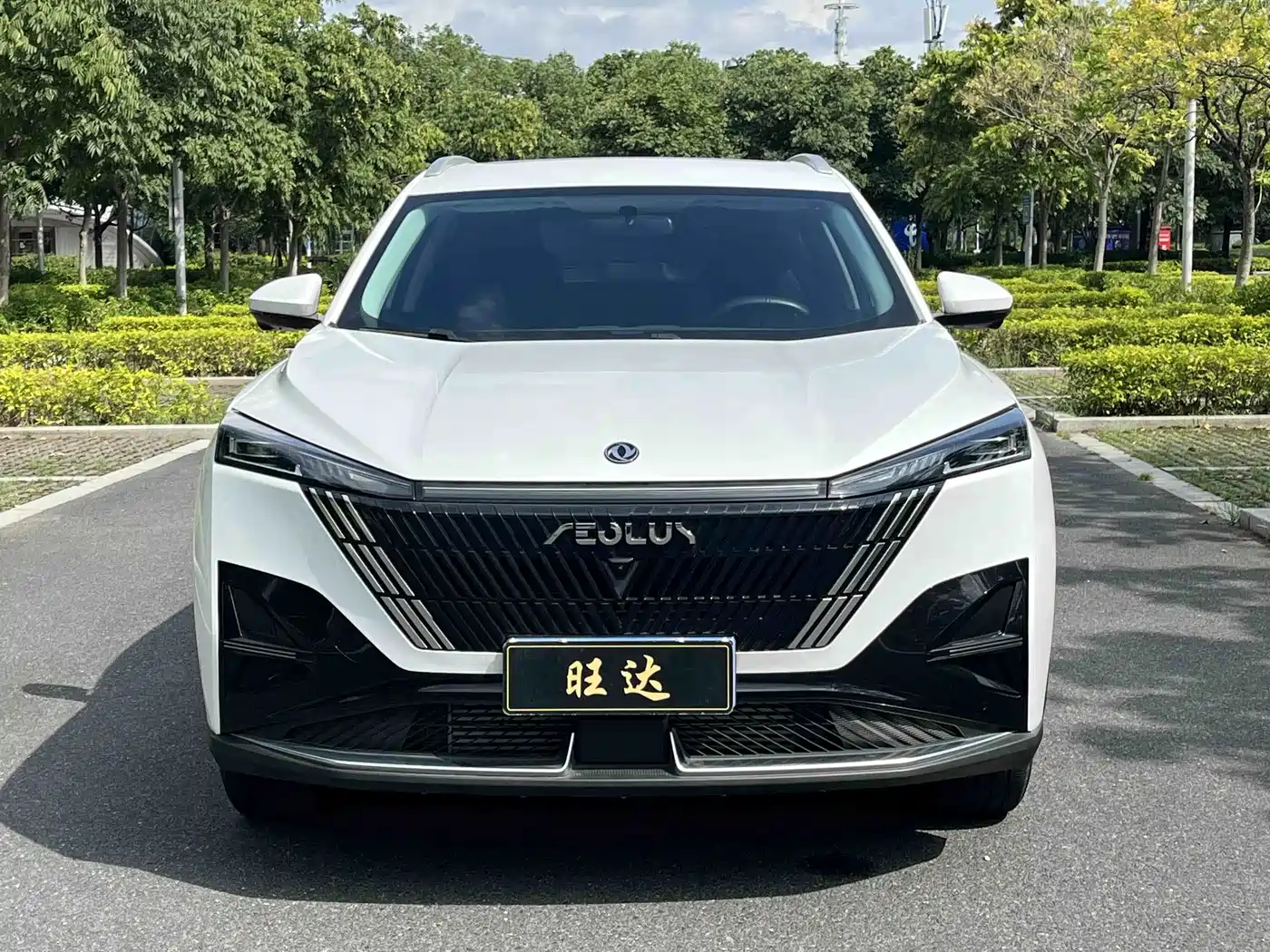 Dongfeng Aeolus Haohan 2024 2025 1.5T Luxury