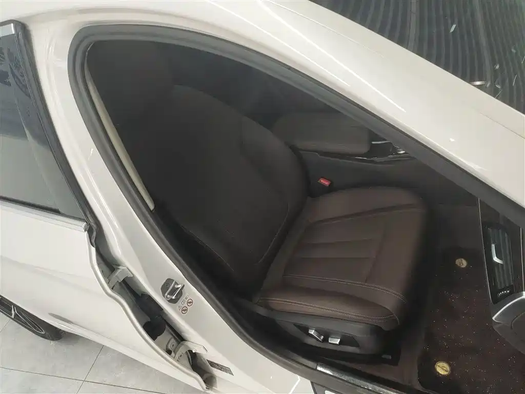 BMW 5 Series 2020 525Li Luxury Package фото 20