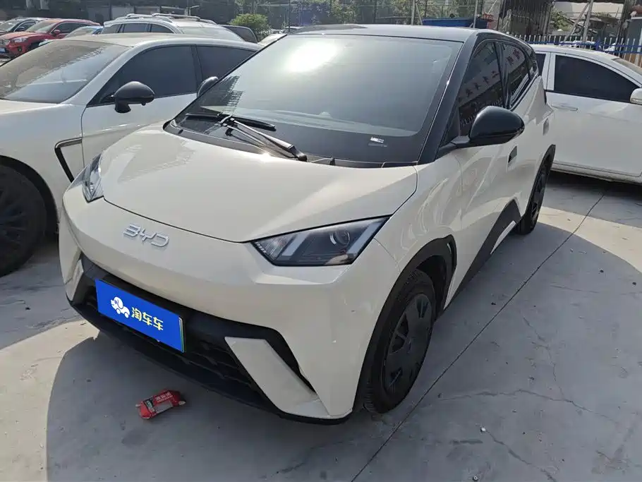 BYD Seagull 2025 305km Vitality
