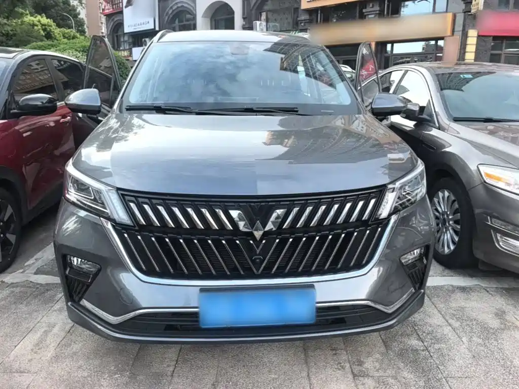 Wuling Motors Wuling Jiachen 2024 2022 1.5T CVT Exclusive Flagship Model